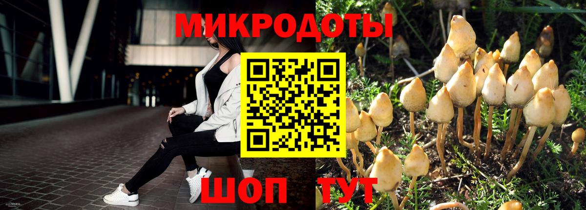 Калуга  Галлюциногенные грибы Cubensis  закладки  Вход с VPN 